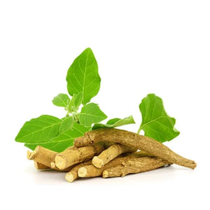 अश्वगंधा / Ashwagandha